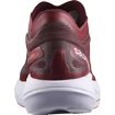 Herren Laufschuhe Salomon Phantasm Biking Red/Purple Heart