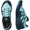 Herren Laufschuhe Salomon Pulsar Trail