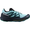 Herren Laufschuhe Salomon  PULSAR TRAIL