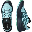 Herren Laufschuhe Salomon  PULSAR TRAIL