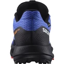 Herren Laufschuhe Salomon Pulsar Trail GTX Dazzling Blue