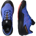 Herren Laufschuhe Salomon  Pulsar Trail GTX Dazzling Blue