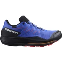 Herren Laufschuhe Salomon  Pulsar Trail GTX Dazzling Blue