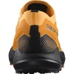 Herren Laufschuhe Salomon Pulsar Trail Pro Marmalade