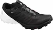 Herren Laufschuhe Salomon Sense 4 PRO