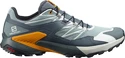 Herren Laufschuhe Salomon Sense