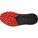 Herren Laufschuhe Salomon Sense Ride 5