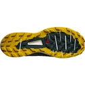 Herren Laufschuhe Salomon Sense Ride