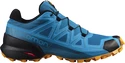 Herren Laufschuhe Salomon Speedcross 5 Crystal Teal
