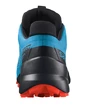 Herren Laufschuhe Salomon Speedcross 5 GTX Hawaiian Ocean