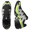 Herren Laufschuhe Salomon Speedcross 6 Gore-Tex Black/Alloy/Green Gecko