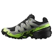 Herren Laufschuhe Salomon Speedcross 6 Gore-Tex Black/Alloy/Green Gecko
