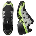 Herren Laufschuhe Salomon Speedcross 6 Gore-Tex Black/Alloy/Green Gecko