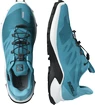 Herren Laufschuhe Salomon  Supercross 3 GTX Crystal Teal