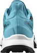 Herren Laufschuhe Salomon  Supercross 3 GTX Crystal Teal