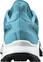 Herren Laufschuhe Salomon  Supercross 3 GTX Crystal Teal
