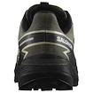 Herren Laufschuhe Salomon Thundercross  Gore-Tex Olive Night/Black/Alfalfa