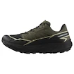 Herren Laufschuhe Salomon Thundercross  Gore-Tex Olive Night/Black/Alfalfa