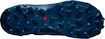 Herren Laufschuhe Salomon  Wildcross GTX Navy Blazer