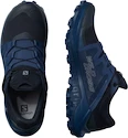 Herren Laufschuhe Salomon  Wildcross GTX Navy Blazer
