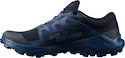Herren Laufschuhe Salomon  Wildcross GTX Navy Blazer