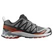 Herren Laufschuhe Salomon Xa Pro 3D V9 Castlerock/Black/Burnt Ochre