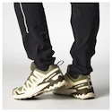Herren Laufschuhe Salomon Xa Pro 3D V9 Deep Lichen Green/Safari/Dark Earth