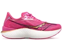 Herren Laufschuhe Saucony  Endorphin Pro 3 Prospect quartz