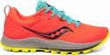 Herren Laufschuhe Saucony  Peregrine 10