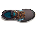 Herren Laufschuhe Saucony  Ride 15 TR Pewter/Agave