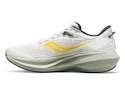 Herren Laufschuhe Saucony  Triumph 21 Fog/Bough