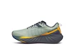 Herren Laufschuhe Saucony  Triumph 22 Gtx Sage/Carbon