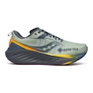 Herren Laufschuhe Saucony  Triumph 22 Gtx Sage/Carbon
