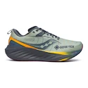 Herren Laufschuhe Saucony  Triumph 22 Gtx Sage/Carbon