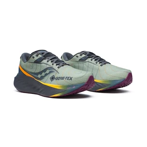 Herren Laufschuhe Saucony  Triumph 22 Gtx Sage/Carbon