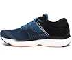 Herren Laufschuhe Saucony  Triumph