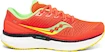 Herren Laufschuhe Saucony  Triumph