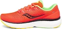 Herren Laufschuhe Saucony  Triumph