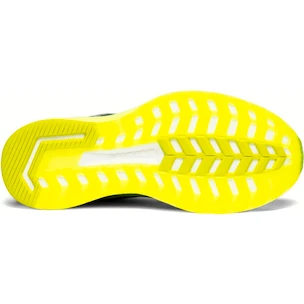 Herren Laufschuhe Saucony  Triumph