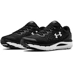 Herren Laufschuhe Under Armour