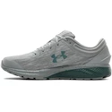 Herren Laufschuhe Under Armour