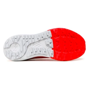 Herren Laufschuhe Under Armour  Charged Bandit Trail