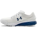 Herren Laufschuhe Under Armour  Charged Escape 3 Evo