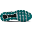 Herren Laufschuhe Under Armour  Charged Intake 4