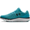 Herren Laufschuhe Under Armour  Charged Intake 4