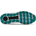 Herren Laufschuhe Under Armour  Charged Intake 4