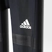 Herren Leggings adidas TF Chill Tigh