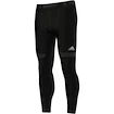 Herren Leggings adidas TF Chill Tigh