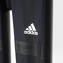 Herren Leggings adidas TF Chill Tigh