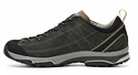 Herren-Outdoorschuhe Asolo  Nucleon GV Graphite Brown